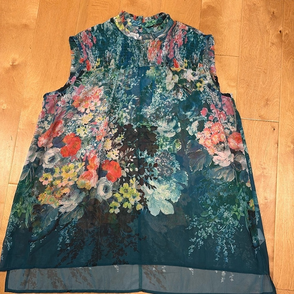 Suzanne Betro smocked sheer sleeveless top green sz 2X